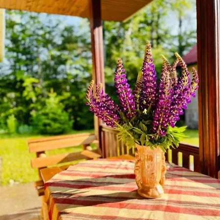 Hébergement de vacances Krunica