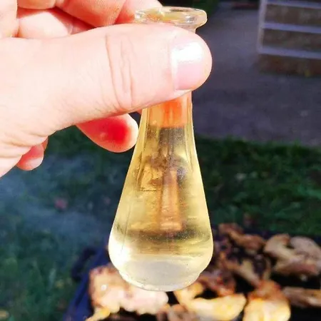 Krunica Hébergement de vacances